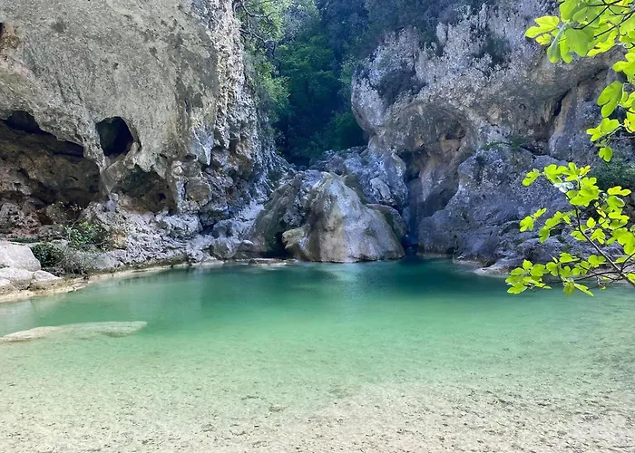 Flora Molieres-sur-Ceze