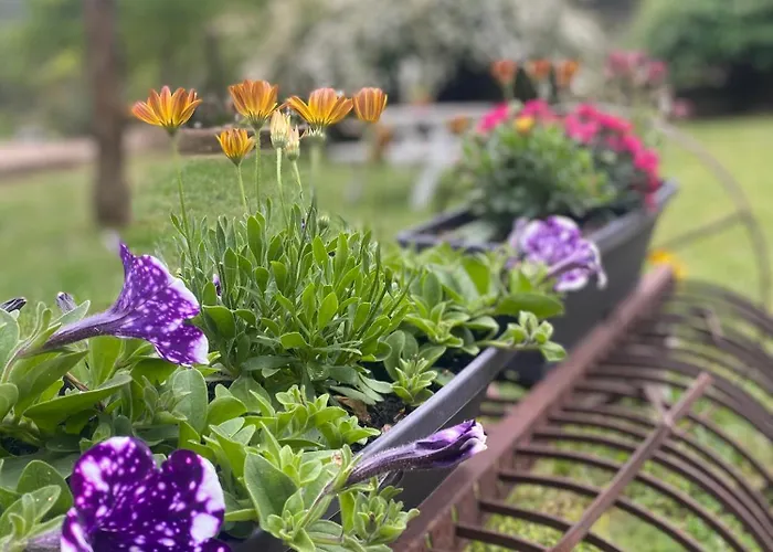 Holiday home Flora *