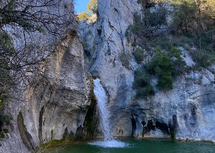 Flora * Molieres-sur-Ceze