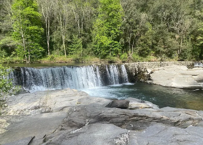 Flora Molieres-sur-Ceze